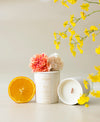 Bliss natural soy wax Candle infused with essential oils - Conceptu Home